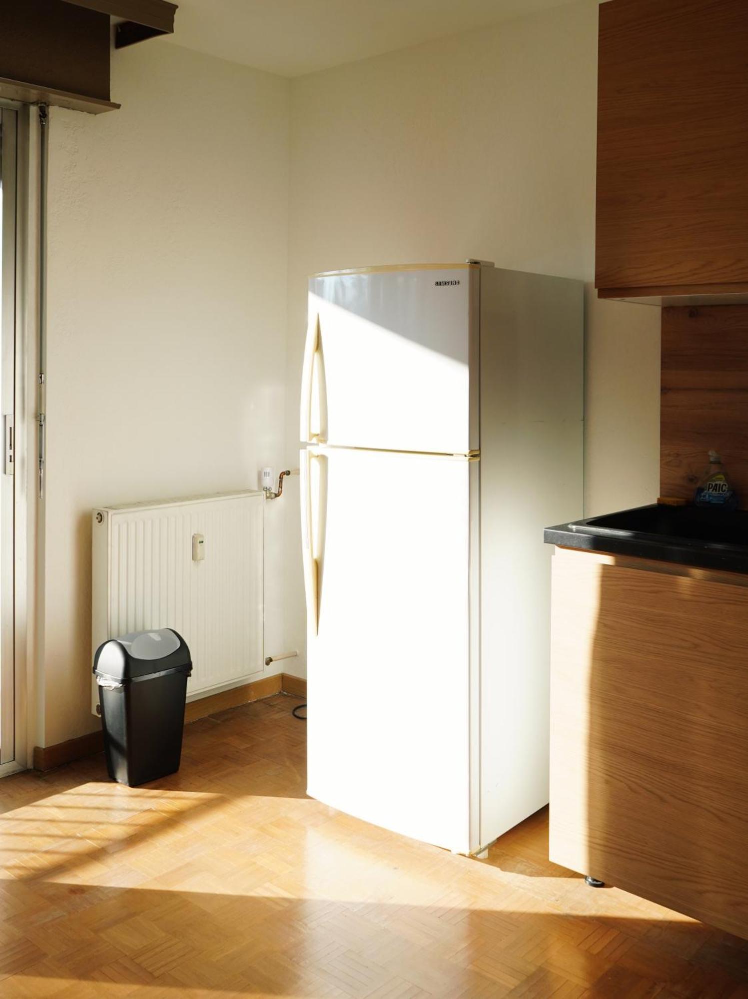 Apartement Saint Louis Train Station- Euroairport- Basel ภายนอก รูปภาพ